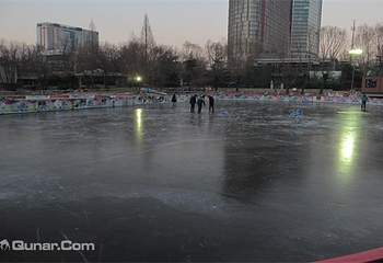 丽都公园冰雪嘉年华第 4 张图片