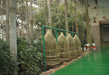 香洲旅游度假区第 29 张图片