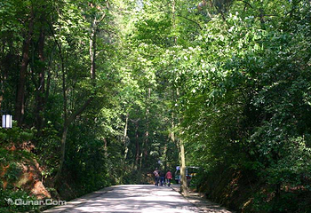 岳麓山第 96 张图片