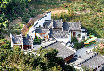 深圳国际园林花卉博览园第 17 张图片