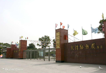 武汉动物园第 26 张图片