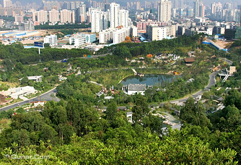 深圳国际园林花卉博览园第 16 张图片