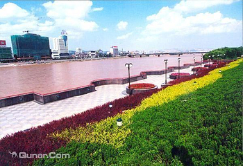 滨河路绿色长廊第 3 张图片