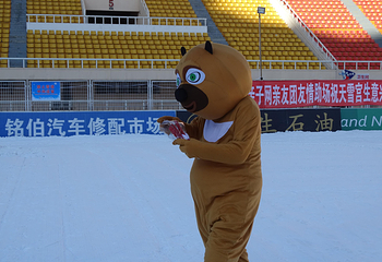 天雪宫嬉雪乐园第 3 张图片