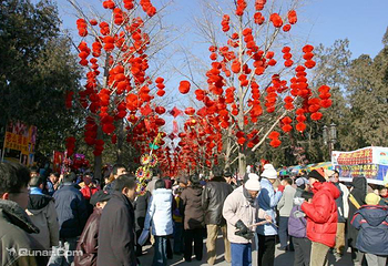 地坛公园第 12 张图片