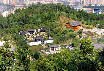 深圳国际园林花卉博览园第 19 张图片