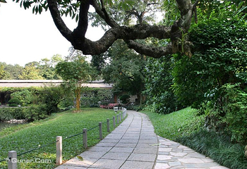 广州兰圃第 2 张图片