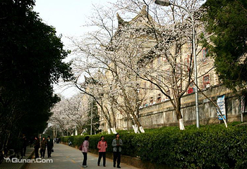 武汉大学第 12 张图片