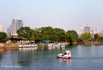月湖公园第 51 张图片