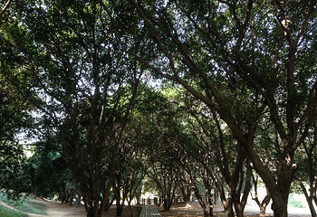 会稽山兜率天景区第 5 张图片