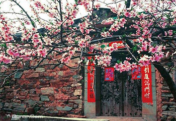 蟒河生态旅游区第 41 张图片