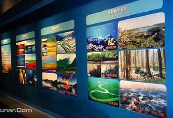 鄱阳湖国家湿地公园第 41 张图片
