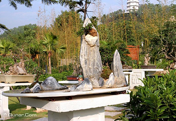 深圳国际园林花卉博览园第 4 张图片