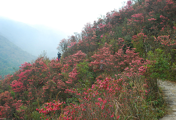 南宁大明山风景旅游区第 12 张图片