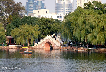 月湖公园第 55 张图片