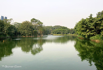 流花湖公园第 2 张图片