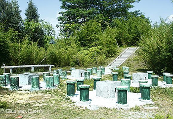 深圳碧岭现代农业科技园第 4 张图片