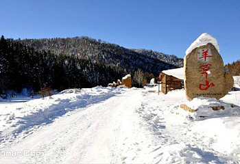 雪乡狗熊岭景区第 3 张图片