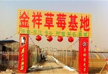 金祥草莓基地第 1 张图片