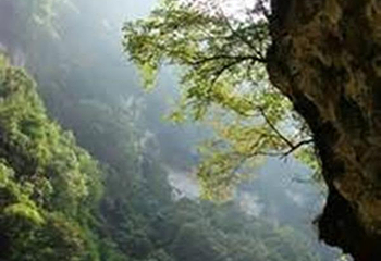 紫江地缝第 3 张图片