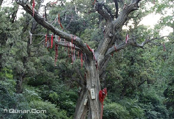 卦山第 5 张图片