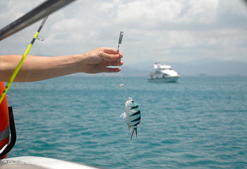 海之韵海上游第 6 张图片