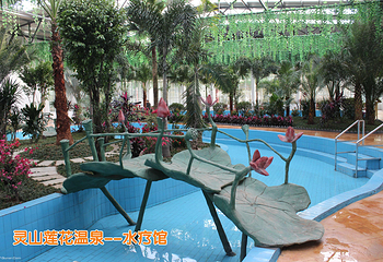 灵山莲花温泉度假区第 23 张图片
