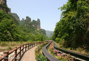 索溪峪第 16 张图片