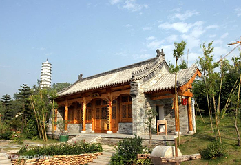 深圳国际园林花卉博览园第 32 张图片