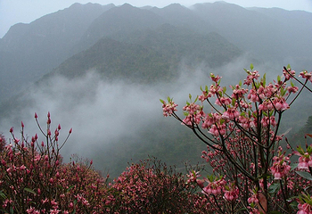 南宁大明山风景旅游区第 18 张图片