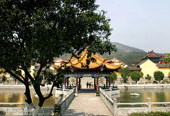 普陀寺第 11 张图片