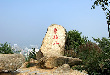 深圳国际园林花卉博览园第 15 张图片