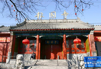 报国寺第 10 张图片