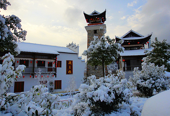 锦鲤土司城第 17 张图片