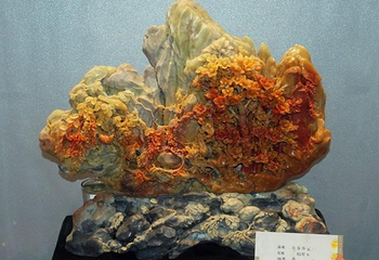 青田石雕博物馆第 2 张图片