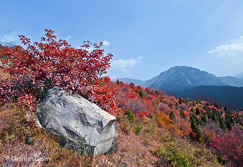 石膏山第 6 张图片