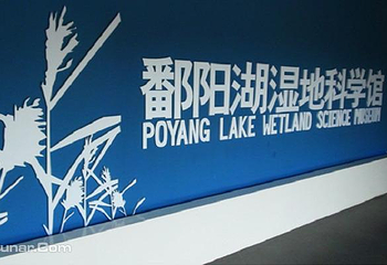 鄱阳湖国家湿地公园第 39 张图片