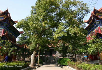 宝通禅寺第 8 张图片