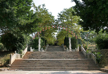 西丽湖度假村第 20 张图片