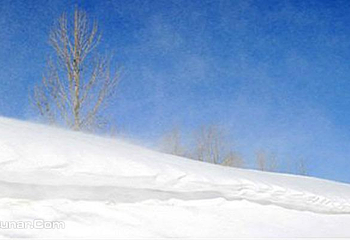 雪乡狗熊岭景区第 5 张图片