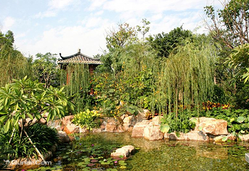 深圳国际园林花卉博览园第 67 张图片