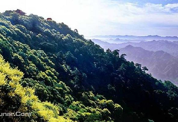 景忠山第 3 张图片