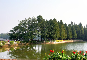 流花湖公园第 10 张图片