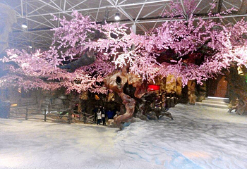 香洲旅游度假区第 3 张图片