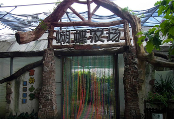 青青世界第 17 张图片