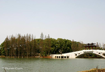 东湖落雁景区第 3 张图片