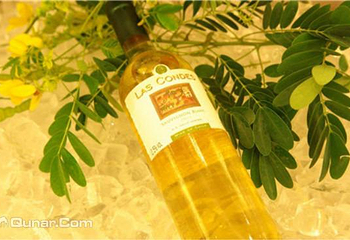 三亚世纪豪庭酒店第 8 张图片