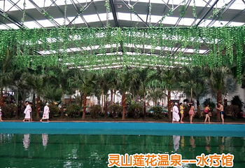 灵山莲花温泉度假区第 26 张图片