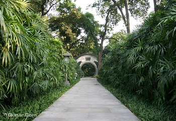 广州兰圃第 20 张图片