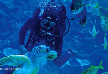 吉隆坡城中城水族馆第 10 张图片